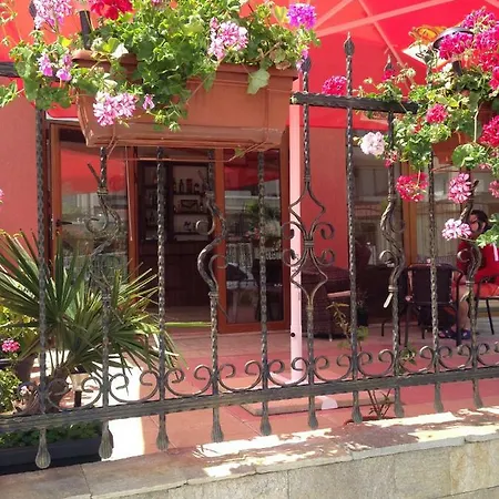 Niki 게스트하우스 스베티 블라스